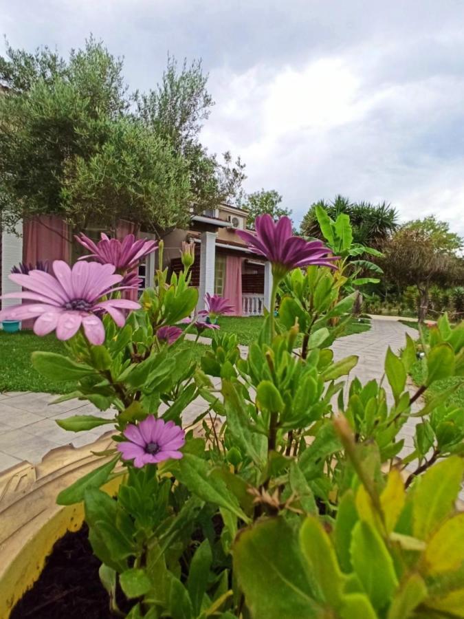 Demis Apartments Sidárion Dış mekan fotoğraf